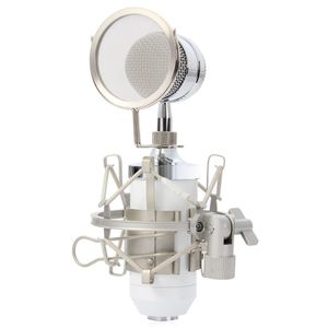BM8000 Professional Sound Studio Recording Condenser Wired Microphone mm Plug Stand Holder Filtro Pop per KTV Karaoke