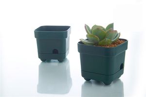 Commercio all'ingrosso 50 pz MOQ Green Water Reserve Automaticamente Fiore Bonsai Piantare Crescere Pot per la casa giardino Succulente Crescere Decorazione