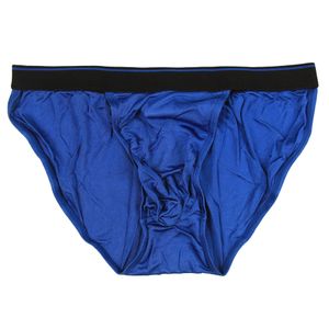 Bikini perizoma da uomo 4 colori Sexy slip da uomo in maglia di seta naturale al 100% per taglia US S M L XL XXL