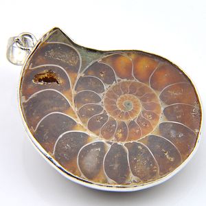 10 Pcs lot LuckyShine Excellent Fire Natural Ammonite Fossil Gems 925 Sterling Silver Vintage Style Pendants Necklaces Friend Gift Jewelry