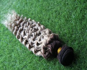 Ombre Brazilian Hair T1B/Gray curly weave human 100g curly ombre grey hair weave 1pcs brazilian hair weave bundles