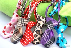 Горячая распродажа бесплатная доставка собака питомца для кошачья галстук галстук галстук с воротником смешан разные цвета 120 шт.