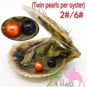 vacuum packed 6-7mm round freshwater akoya shell twins 2 pearl oyster DIY peal jewelry accessories