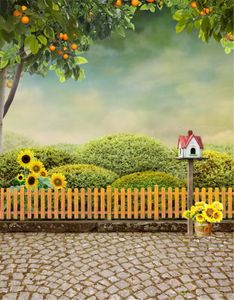 Beautiful Green Plants Garden Photography Backdrops Wood Fence Brick Floor Orange Tree Sunflowers Backgrounds for Photo Studio