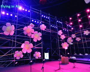 膨脹可能な花が吊り下げられたピンクの花コンサート梅の舞台/コンサート