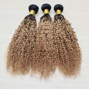 Jerry Curly Ombre Hair Extensions Brasilianska Body Wave Mänskliga hår Vävar Två TONE WEFT 1B / 27 1B / 30 Lösa våg peruanska hårbuntar