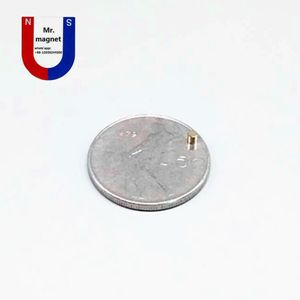 200ピースの小さい米2x2 2 * 2mmの磁石ディスクD2x2mm希土類磁石D2 * 2mm 2×2mmネオジムマグネットペアナノスーパーパワー