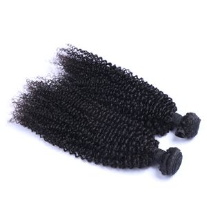 マレーシアのバージンの人間の髪の変態な巻き毛の未処理のレミーの髪織り二重wefts 100g /束2バンドル/ロットは漂白されることがあります