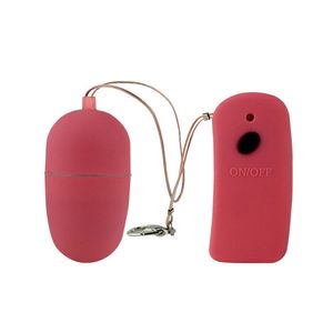 Double Bullet Egg Vibrator Vibe Remote Control Waterproof Sex Toys For Women #T701