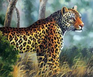 Leopar Jaguar Büyük Kedi Nesli Sert Orman Avcılık El Boyalı Modern Hayvan Yağlıboya Tuval Müzesi Kaliteli Çok Boyutlu J64
