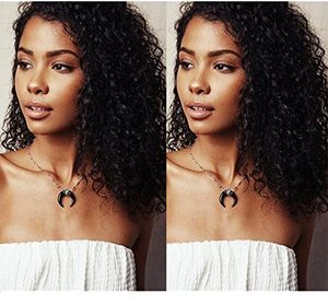 Brasiliansk Kinky Curly 100% Virgin Remy HD Front Wig 150% Densitet Glueless 360 Lace Front Pärlor Pre Plucked Diva1