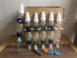 Set di puntali in cannuccia da 14 mm di ALTA QUALITÀ con clip e chiodo in titanio da 14 mm Oil Rig Straw Concentrate Dab Straw