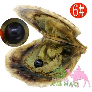 Partihandelskvalitet 6-7mm Runda Akoya Shell Pearl Oyster Seawater Oyster 6 # Svart Pärla finns i 29 färger tillgängliga