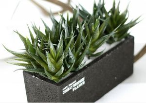 Micro - landscape striped aloe vera indoor plant wall fake flower simulation flower meat plant