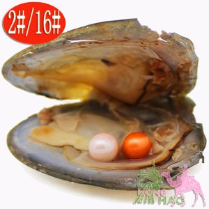 Фабрика Оптовая вакуумная сумка oyster pearl окрашенные бусины akoya Близнецы pearl oysters отдельная упаковка день рождения свадебный подарок