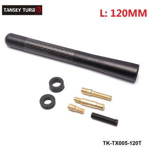Großhandel Tansky 12cm / 4,7 "Universal Carbon Faser Schraube Aluminium Kurzauto AM / FM Radio Aerial Antenne Black TK-TX005-120T