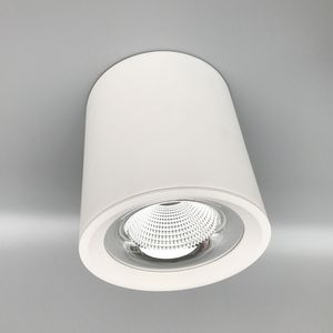 LED Cylinder Ceiling Down Light COB Suspended Pendant Spotlights Surface Mounted LED Lighting Fixtures For Home 20W 30W