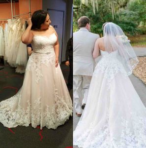 Plus Size Lace Wedding Dresses Strapless Backless Sweep Train Bridal Gowns Sheath Appliqued Long Wedding Dress