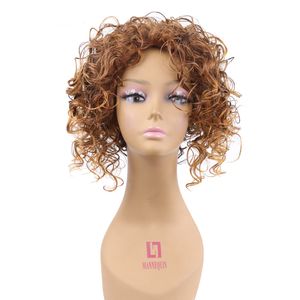 Fashion Muli Color Curly Short Wigs Synthetic Hair Afro Wig for Women High Temperature Fiber Cosplay Wigs