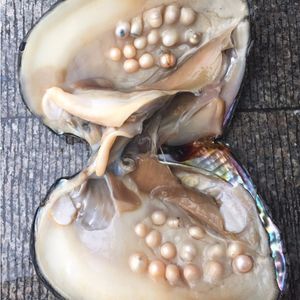 Big Oyster Pearl Cinque anni di acquacoltura 20-30 pezzi di perle 2018 Commercio all'ingrosso singolarmente confezionato sotto vuoto coltivato di ostriche fresche Fornitura di perle