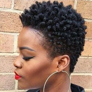 Moda venda quente brasileiro cabelo africano Ameri curto kinky curly peruca simulação cabelo humano encaracolado peruca frete grátis
