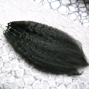 粗焼きマイクロループ人間の毛髪伸び100gキンキーストレートループマイクロリングヘア100％ヒトマイクロビーズリンク機械製造レミーの髪