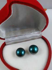 Çarpıcı 11-12 mm Tavuskuşu mavisi güney deniz inci küpe gümüş saplama