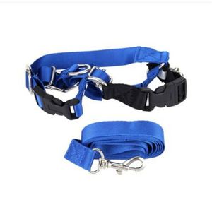 Wholesale lovely DOG 2018 Wholesales!!! Freeshipping Pet Dog Nylon Adjustable Training Lead Dogs Belt Leash Strap Rope