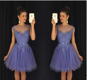 Sexy Beads Tulle Sheer Homecoming Dresses for Juniors Lace 2019 Plus Applique Short Prom Dress Party Ball Gowns Graduation Club Wear Cheap