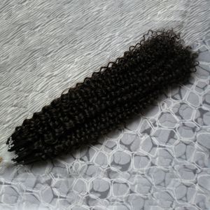 Brasilianska Remy Mänskliga Naturliga Hår Micro Bead Hair Extensions Kinky Curly Micro Loop Hårförlängningar 200g förlängning 10 