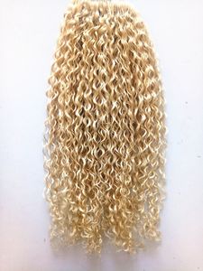 Brazilian Human Virgin Remy Blonde Hair Curly Clip In Hair Weft Soft Double Drawn Hair Extensions Unprocessed