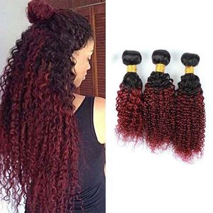 Brasilianska Ombre Burgundy Human Hair 3 Bundles Färgad 1B / 99J Två ton Kinky Curly Virgin Hair Weave Billiga Brasilianska Human Hair Extensions