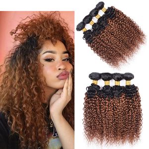 Tessuto per capelli umani ricci crespi 1B30 4 pacchi con colore Malese Brasiliano Peruviano Capelli umani vergini Ombre Ramati 4 pezziL5580506