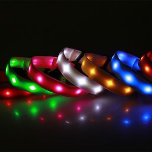 Nyaste Led Pet Dog Collar Uppladdningsbar USB 4 Storlek Justerbar Blinkande Säkerhet På Natt Passar alla Pet Gummi Dog Collar