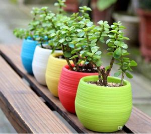 Plástico Mini Flowerpot de Poupança De Água E Resistência À Seca Cama De Ervas Pote Jardim Reticulado Padrão Vasos Suculentos Plantador Fácil de Transportar