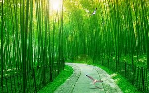 Custom Any Size Mural Wallpaper Fresh Linyin Road Bamboo Forest 3D Aisle Background Wall TV Background 3D Mural Wall Paper