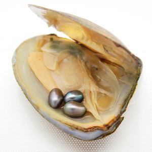 Ovala Oyster Pearl 6-8mm 2018 Ny 3 Samma färg Färskvatten Pearl Present, Naturlig Pearl Oyster Vakuum Förpackning Partihandel (Gratis frakt)
