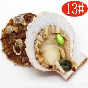 Regalo a sorpresa per feste all'ingrosso Ostriche con guscio rosso di acqua di mare con confezione sottovuoto da 6-8 mm ovale # 13 perla verde 1 pz