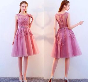 New Arrival Short Prom Dresses Dark Navy Black Pink Red Knee Length Lace Applique Illusion Back Cocktail Dresses HY4119