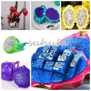 New!! 200 Pcs  Bag 10 Kinds Rare Pitaya Seeds,Sweet Dragon Fruit Seeds Very Delicious Healthy Fruit ,Sementes Potted Plants For Home Garden