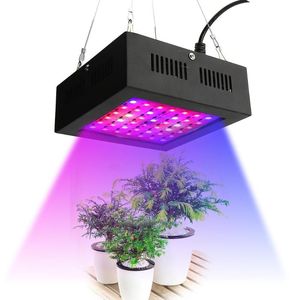 Novo 80W LED Grow Light 42leds IP66 sistema hidropônico interno planta cresce luz para floração e crescimento em estufa