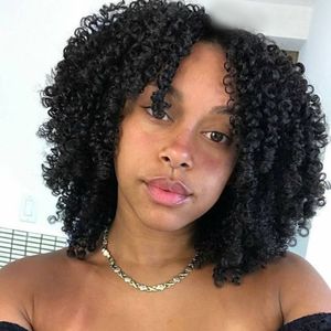 hot brazilian Hair African Americ kinky Curly Wig Simulation Human Hair afro short kinky Curly Full Wigs in stock