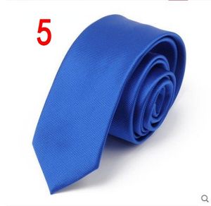 Högkvalitativa män Klassiska band 100% Silk Jacquard Woven Handgjorda herrar slips för män bröllop casual och affärshals ti309h