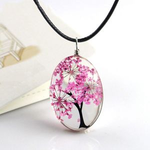 Retro Jewelry Real Dried Flower Necklace Tree of Life Shaped Leather Rope Glass Long Pendant Necklace for Women Gift