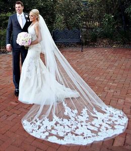 Hot Sale Long Veils for Bride 2019 Cheap Bridal Hair Accessories Chapel Length Applique Tulle Wedding Bridal Veils