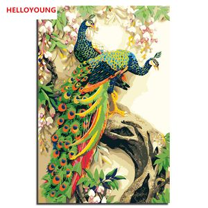 الصورة لوحة HELLOYOUNG الرقمية رسم لوحة الطاووس الثلاثة أرقام اللوحات الزيتية الصينية اللوحات التمرير ديكور المنزل
