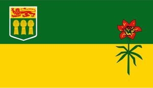 Canadá Bandeira de Saskatchewan 3ft x 5ft Poliéster Bandeira Voando 150 * 90 cm Personalizado bandeira ao ar livre