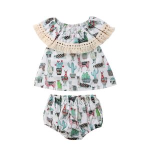 Neugeborene Baby Mädchen Kleidung 2018 Kleinkind Kleinkind Mädchen Outfits Quaste Kragen Ärmellose Tops mit Shorts Unterteile 2PCS Mädchen Outfits Set 0-24M