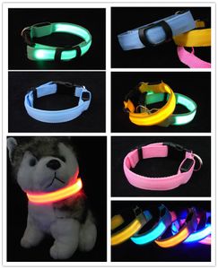 LED colarinho luminoso do que teddy fofo animal de estimação pequeno animal de estimação