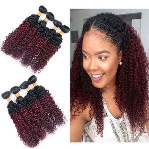 Obehandlad 1B / 99J Ombre Weave 4 buntar Kinky Curly Brazilian Virgin Hair Dark Wine Red Hair Wefts 10-26 tum Human Hair Weaves Extension